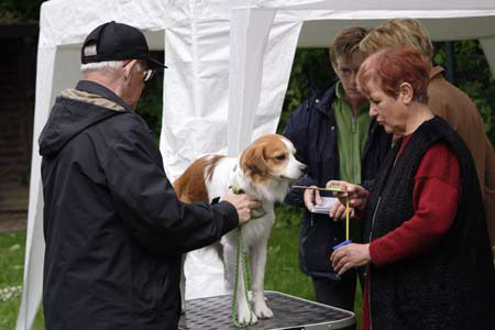 Koerung in Velbert_011