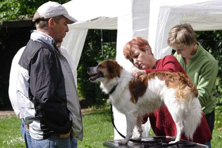 Koerung in Velbert_005